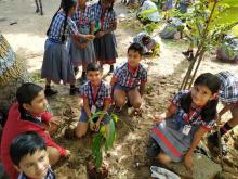 फिट भारत 2019 बागवानी दिवस1